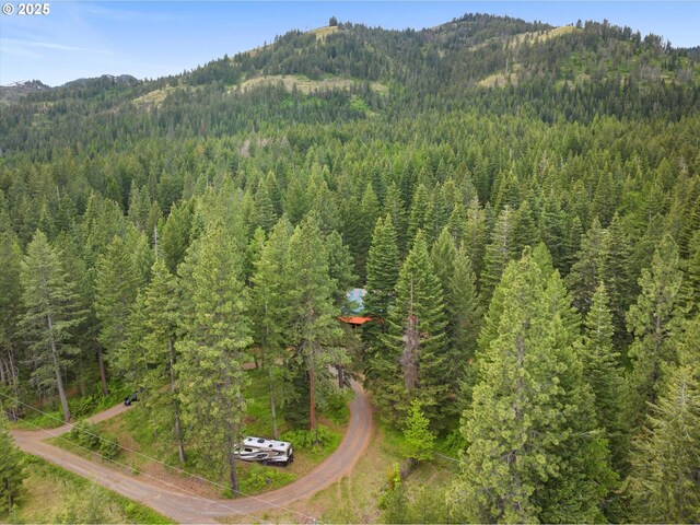 67388 Timberline Rd, Summerville, OR 97876 - bird's eye view of a mountainous background and a heavily wooded area