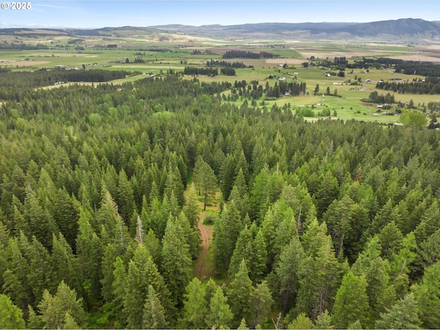 67388 Timberline Rd, Summerville, OR 97876 - aerial view of mountains