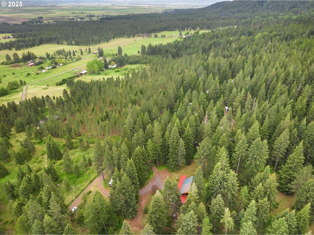 67388 Timberline Rd, Summerville, OR 97876 - aerial overview of property's location featuring a forest and rural landscape
