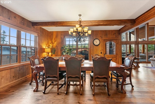 dining room featuring wooden walls, a chandelier, plenty of natural light, hardwood / wood-style flooring, and beamed ceiling