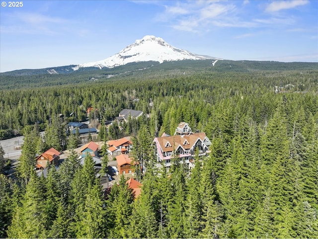 bird's eye view of a forest and mountains