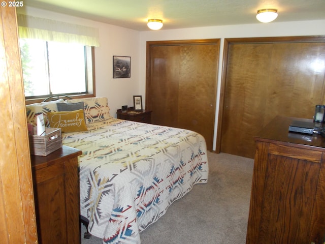 43497 Shetland Ct, Pendleton, OR 97801 - bedroom with two closets and carpet