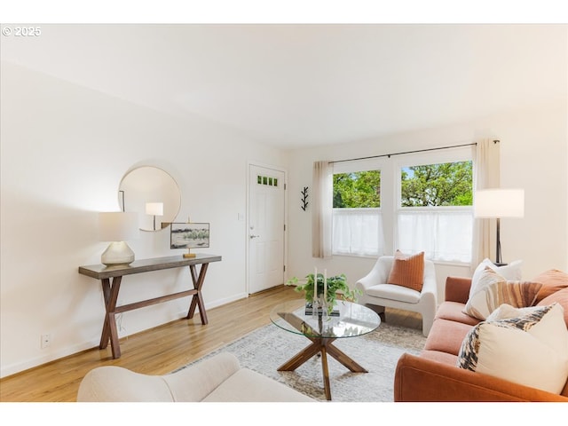 living area featuring baseboards and wood finished floors