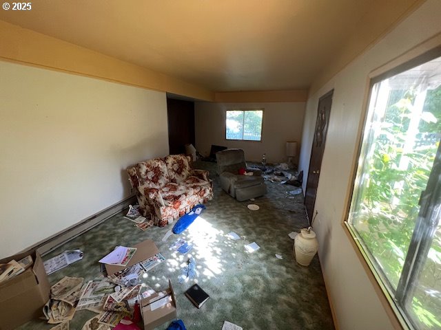 unfurnished living room with carpet floors