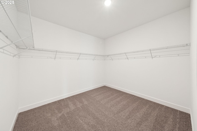 11016 NE 131st Ct, Vancouver, WA 98682 - walk in closet featuring carpet flooring