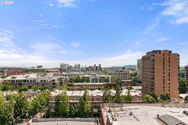1314 NW Irving St Unit 510, Portland, OR 97209 - city view