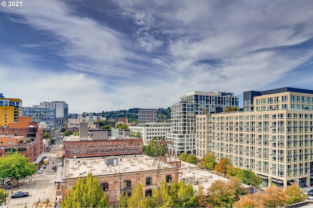 1314 NW Irving St Unit 510, Portland, OR 97209 - view of city