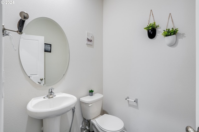 half bathroom featuring toilet
