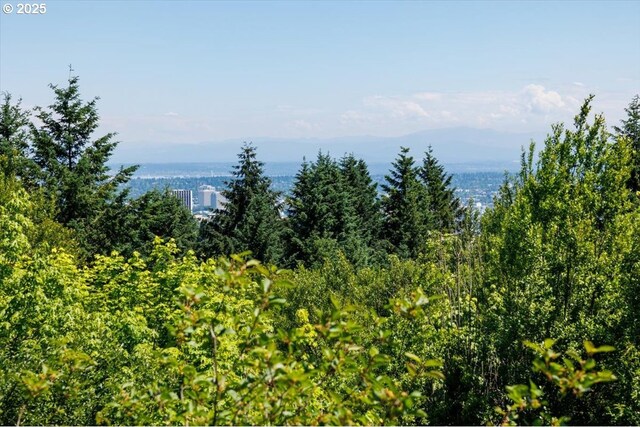 mountain view with a view of trees