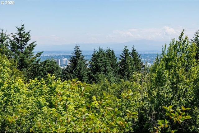 3450 SW Sherwood Pl, Portland, OR 97239 - view of mountain backdrop with a forest