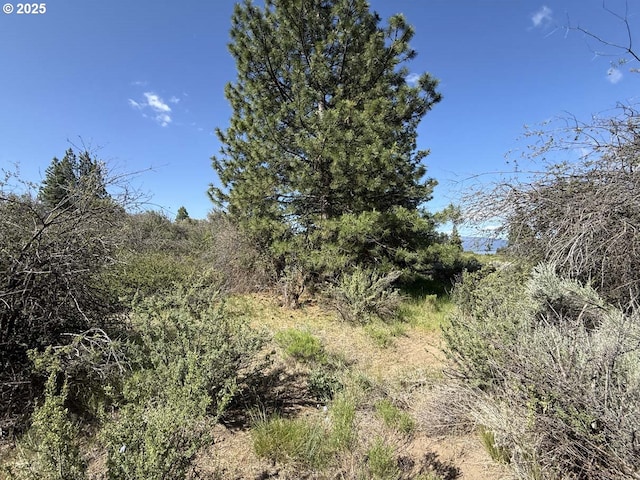 Lakeland Rd Unit 17, Chiloquin, OR 97624