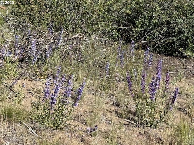 Lakeland Rd Unit 17, Chiloquin, OR 97624