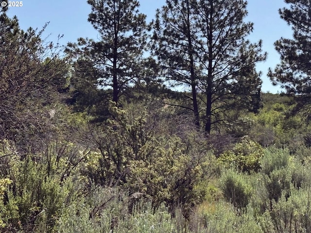 Lakeland Rd Unit 17, Chiloquin, OR 97624