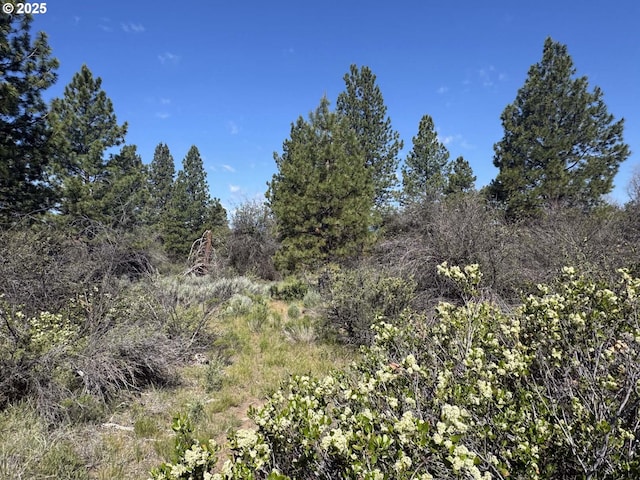 Lakeland Rd Unit 17, Chiloquin, OR 97624