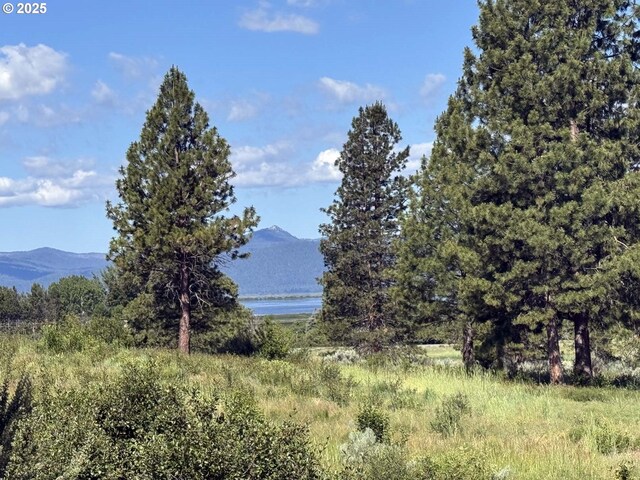 Lakeland Rd Unit 17, Chiloquin, OR 97624