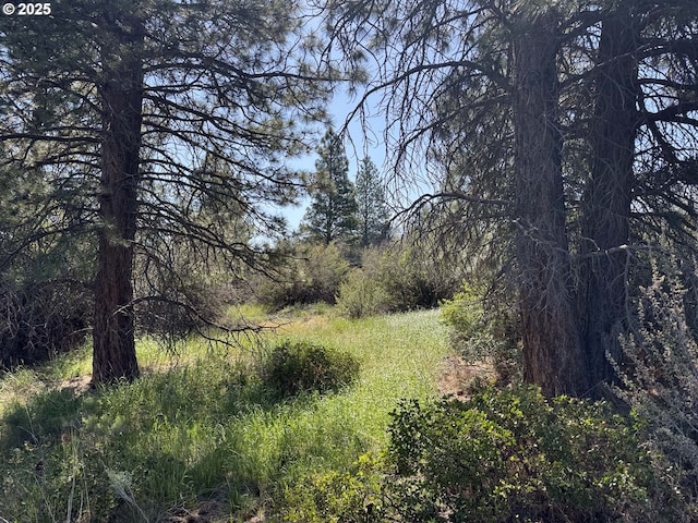 Lakeland Rd Unit 17, Chiloquin, OR 97624