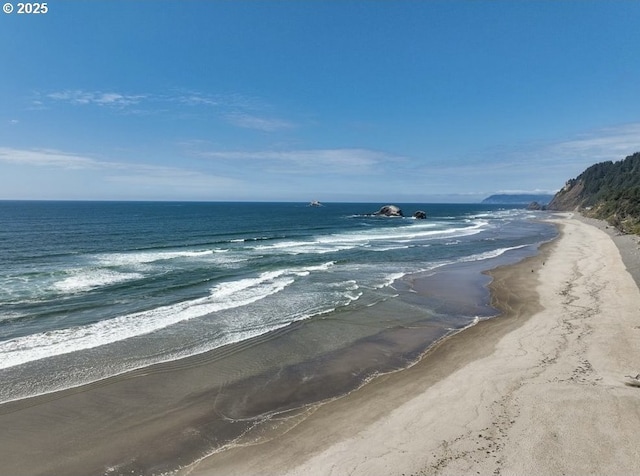 view of water feature featuring a view of the beach