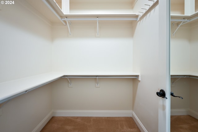 3232 NW Spencer St, Portland, OR 97229 - spacious closet featuring carpet flooring