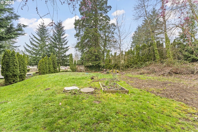 view of yard featuring a garden