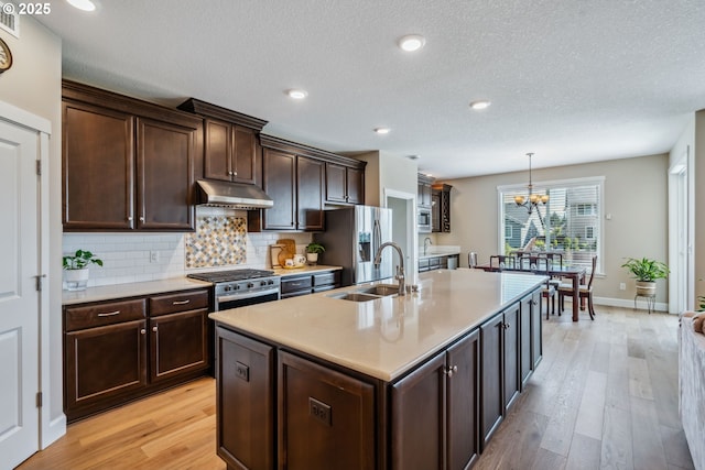 4905 S 12th Cir, Ridgefield, WA 98642 - kitchen featuring under cabinet range hood, appliances with stainless steel finishes, a chandelier, light wood-style flooring, and dark brown cabinetry