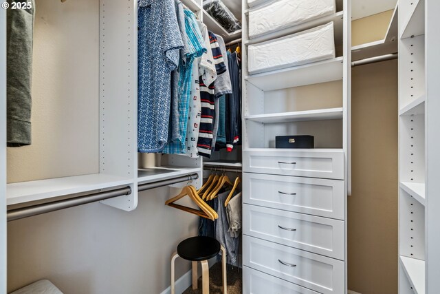 4905 S 12th Cir, Ridgefield, WA 98642 - view of spacious closet