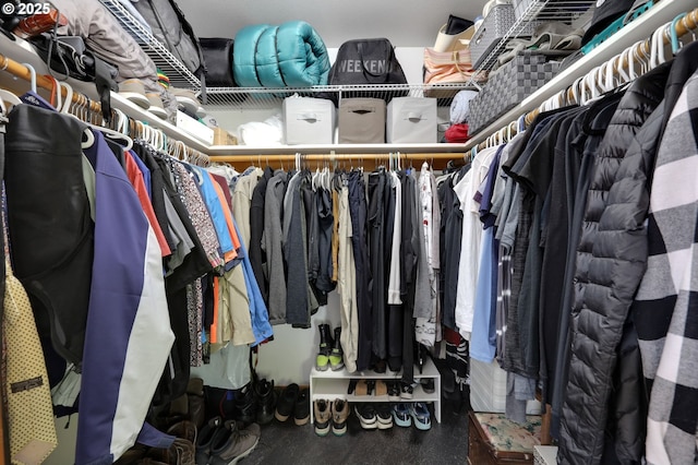 view of spacious closet