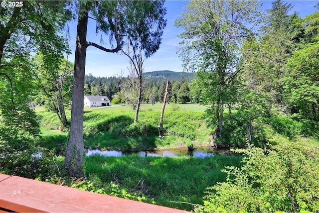 view of mountain background featuring a forest and a nearby body of water