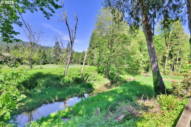 view of woods