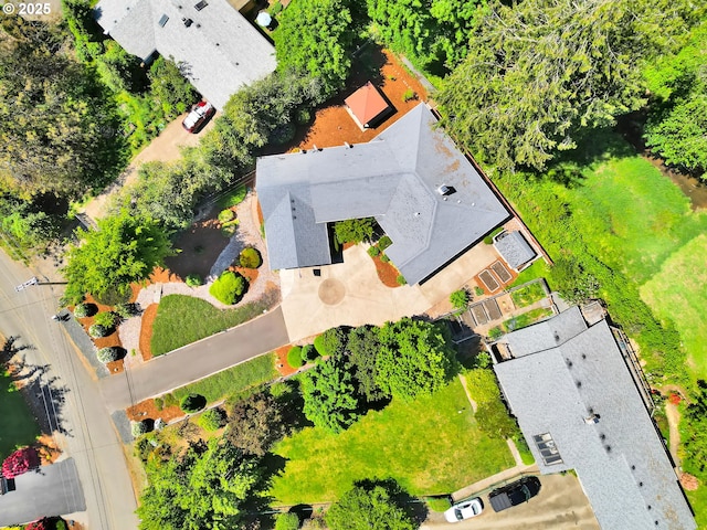 drone / aerial view