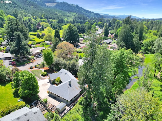 bird's eye view of a forest and mountains