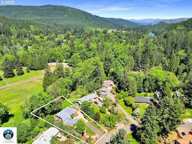 view of property location with a forest, property parcel outlined, and a mountainous background