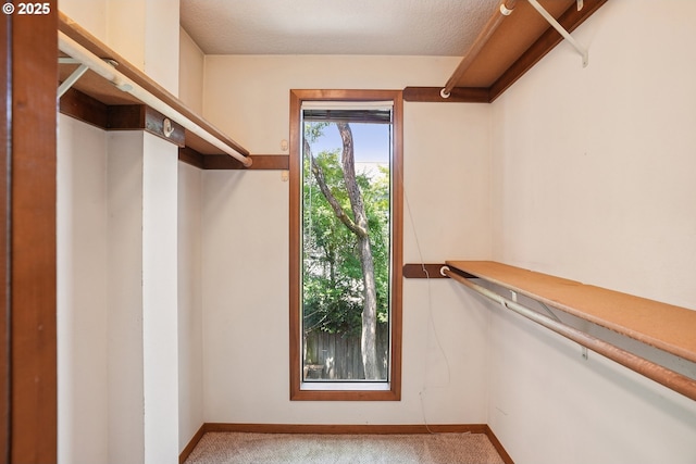 2027 SE Lexington St, Portland, OR 97202 - walk in closet featuring carpet