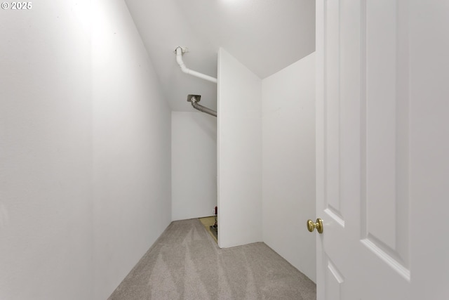walk in closet featuring carpet