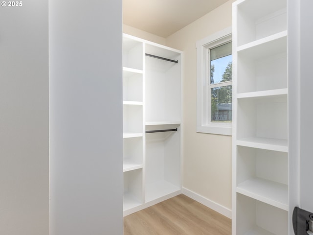 walk in closet with light hardwood / wood-style flooring