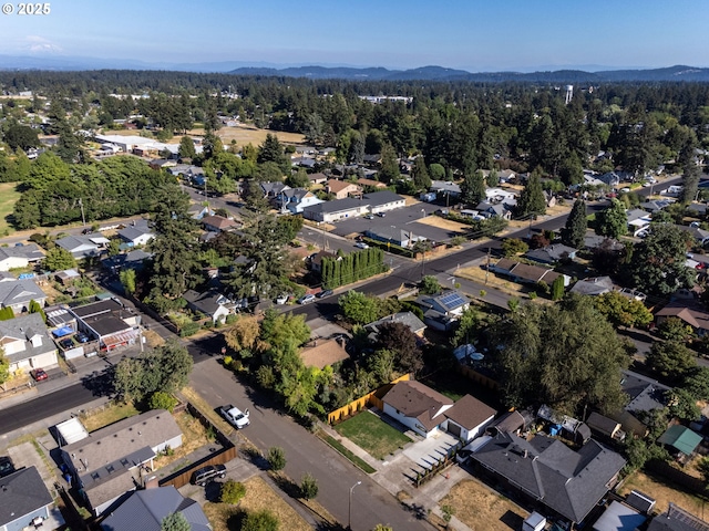 bird's eye view