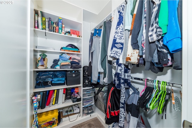 213 SE 1st Ave, Battle Ground, WA 98604 - view of walk in closet