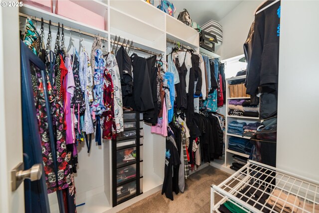 213 SE 1st Ave, Battle Ground, WA 98604 - walk in closet with carpet flooring