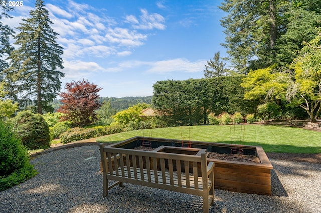 view of home's community with a lawn