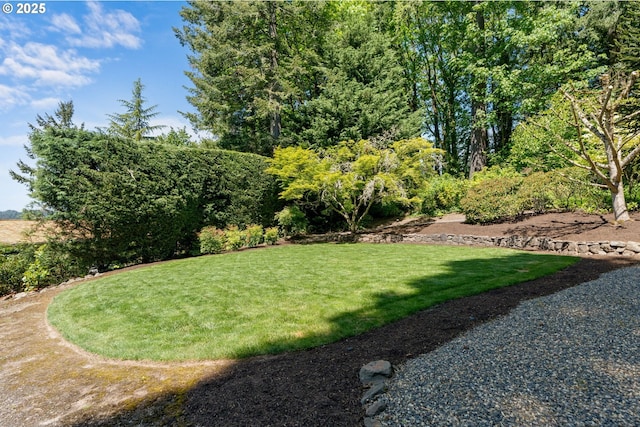 view of grassy yard