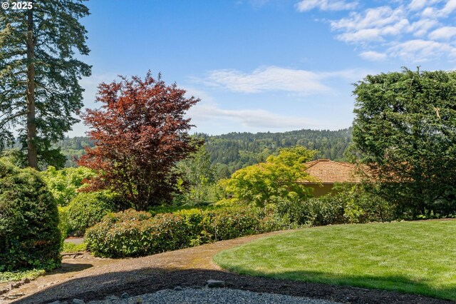 view of green lawn featuring a forest view