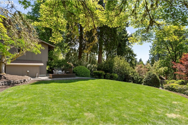 view of grassy yard