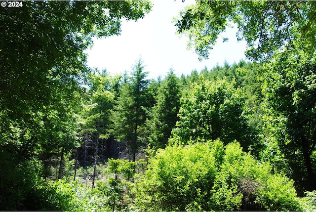 000 Kings Valley Hwy, Monmouth OR, 97361 land for sale