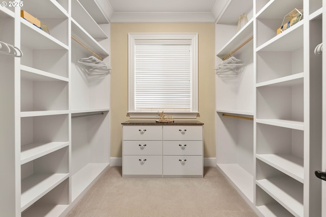 walk in closet with light colored carpet