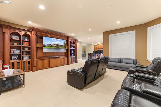 home theater featuring light carpet