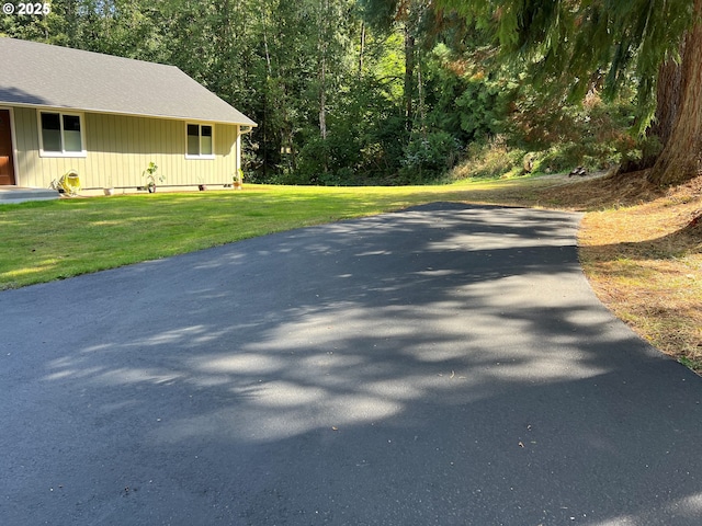 view of street with aphalt driveway