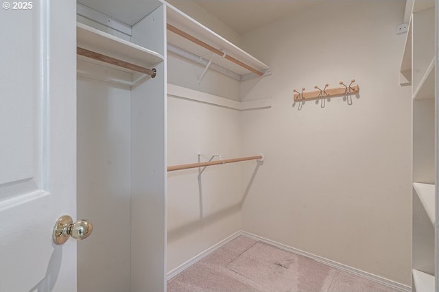 366 Pintail Ave SE, Salem, OR 97306 - view of walk in closet