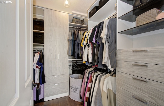 spacious closet with dark wood finished floors