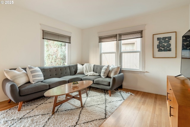 living room with light wood-type flooring