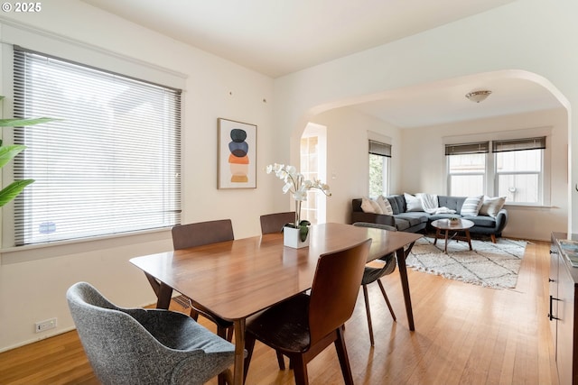 dining area with light hardwood / wood-style flooring