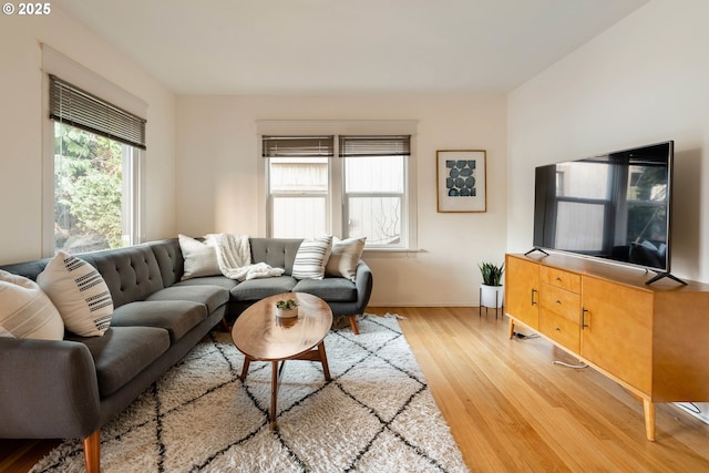 living room featuring wood-type flooring